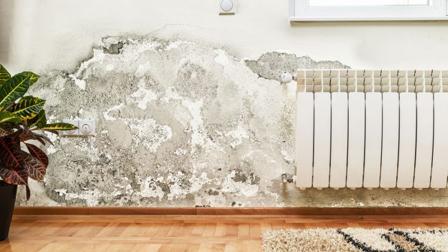 Is that crack dangerous? How can I know?